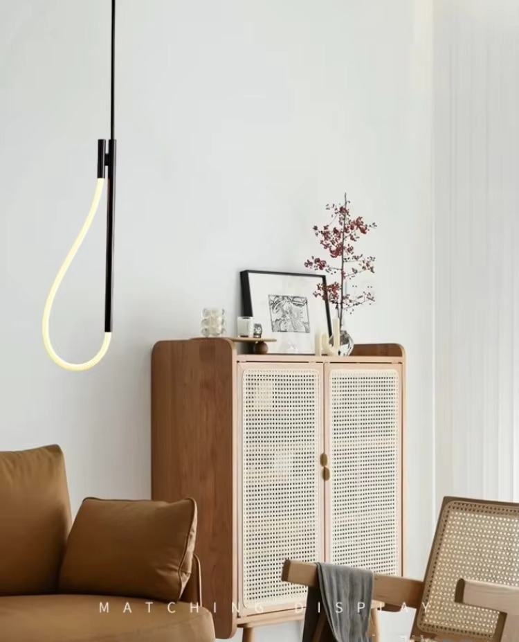 application modern ceiling lamp